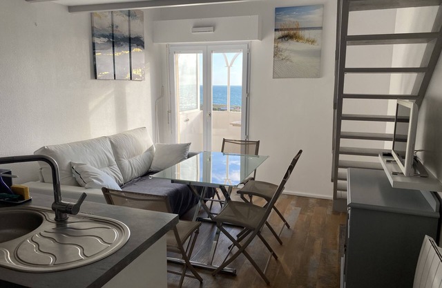 Superb studio with sea view and wild coast of Les Sables