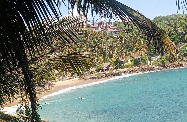 Surf Paradise Hotel