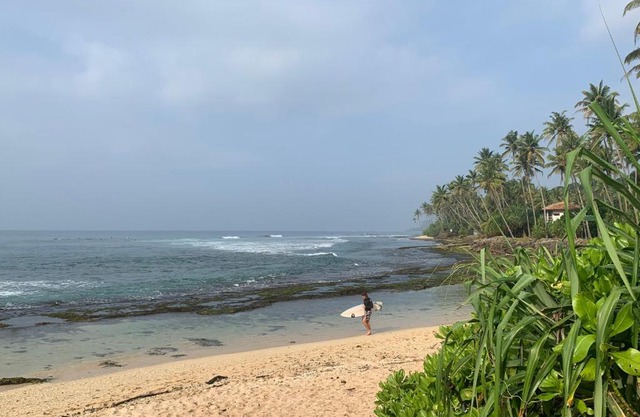 Surfe lodge