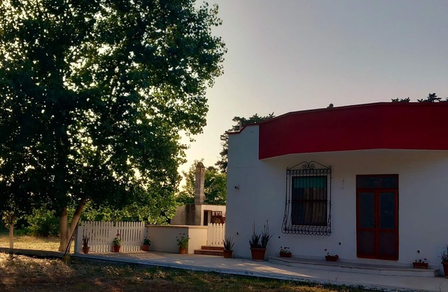 Surrounded by nature, within walking distance of the city