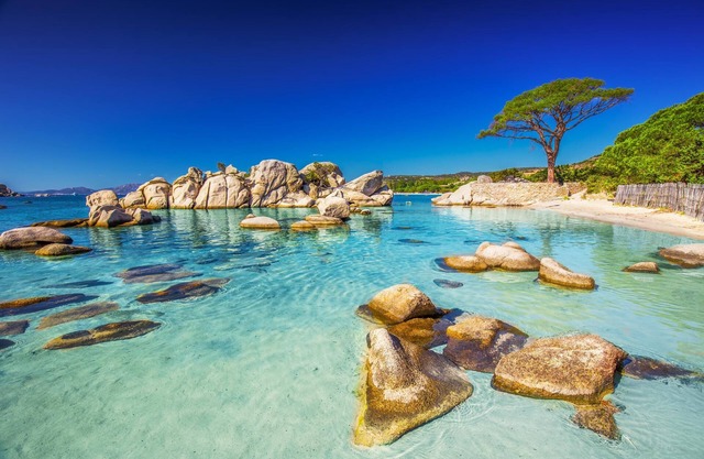 Swimming pool residence le domaine Melody in Santa-Maria-Poggio on the Costa Verde (beach)