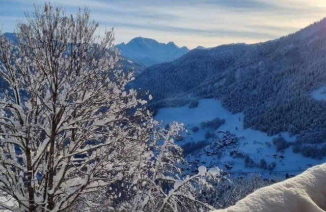 T du Morel A by Interhome