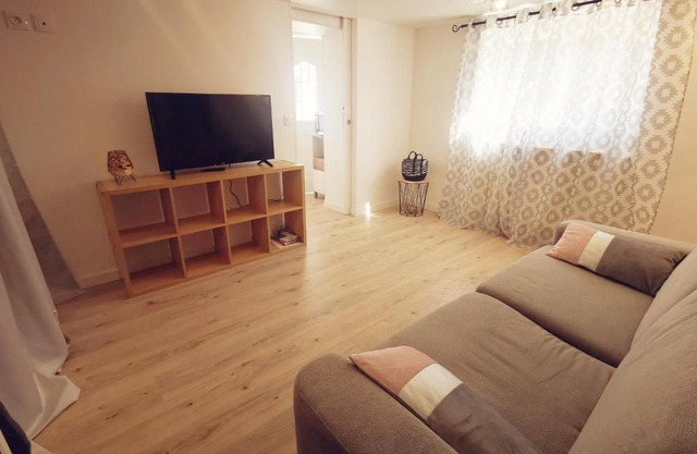 T1 bis, jardin, proche du centre