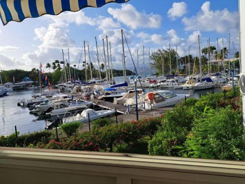 T1 CoquetteMarina972 - TROIS ILETS