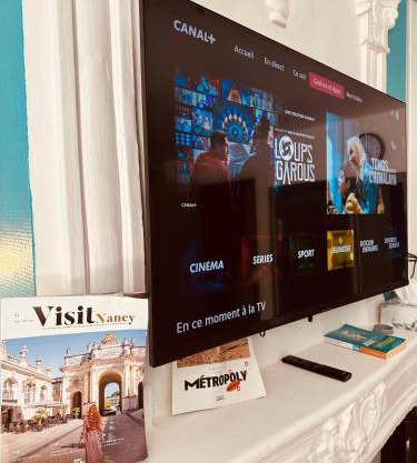 T1 studio avec TV Netflix - canal série - apple TV - OCS - Dazen - bein sport - prime vidéo