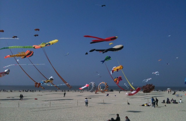 T3 FACE THE SEA from July 16 to 19, 6pers Grde terrace