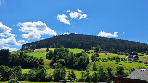 TannenZauber