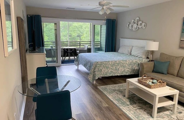 Teal Turtle Lodge Studio in Ocean Creek Resort