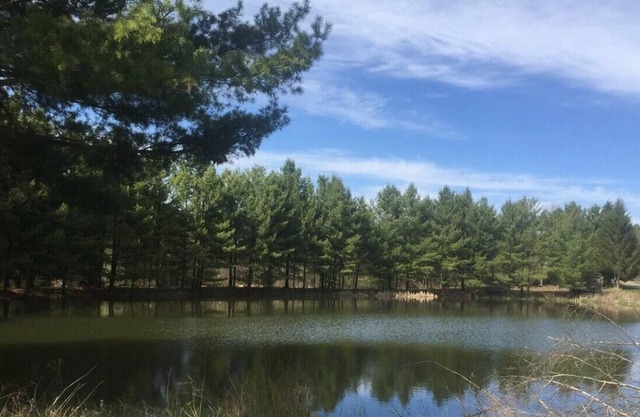 Tentrr Signature Site - Moonlit Pond South