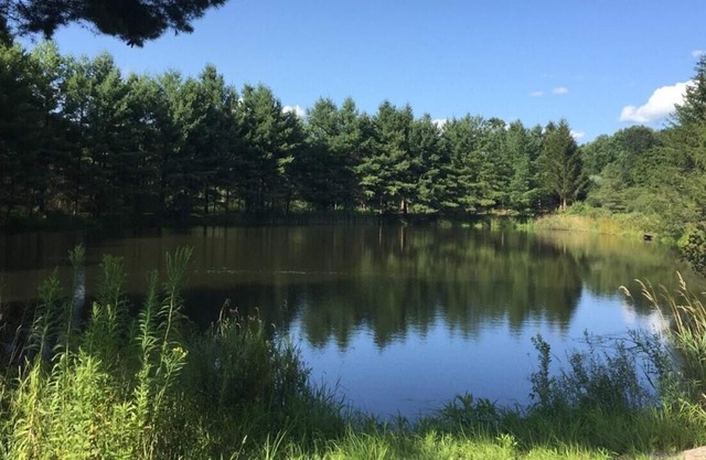Tentrr Signature Site - Moonlit Pond