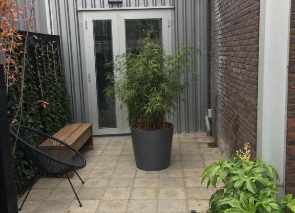 Terrace Apartment Cyclades