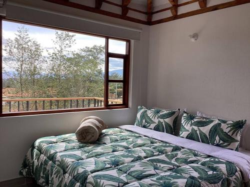 Tesoro de la Montaña!