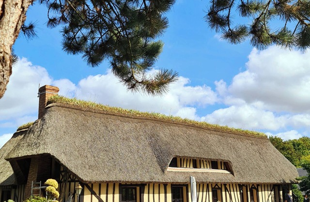 Thatched cottage at the anemone pond
