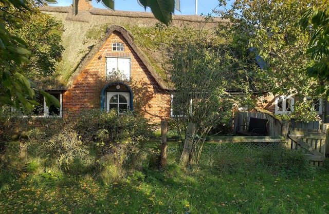 Thatched Frisian house from 1860, ideal family accommodation Pet-friendly