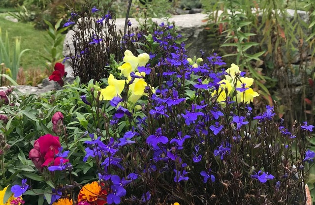The Barn at Round Pond