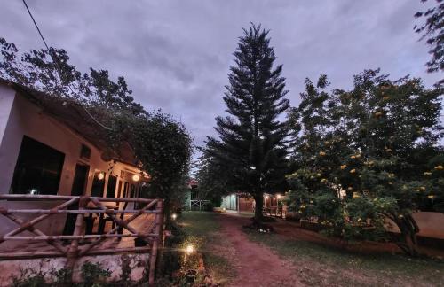 The Big Cat's Den - Maravakandy Resort, Masinagudi