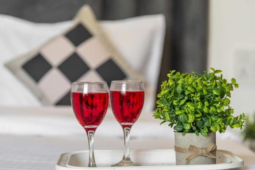 THE BLUE BERRY BY HiLL CREST I 2BHK APARTMENTS I AC I ROOF TOP MODERN CAFE I
