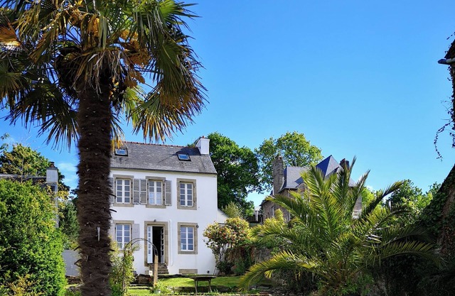 The Blue Garden - Long term possible