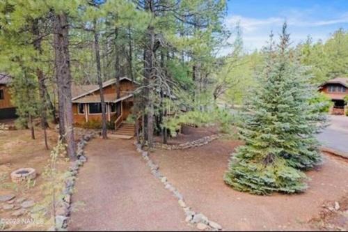 The Bluejay Cabin at Munds Park, AZ!