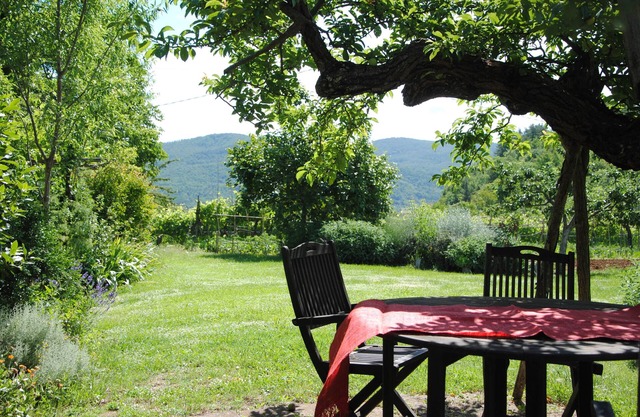 The charm of 'Il Susino' is that is situated in a centuries old farmhouse.