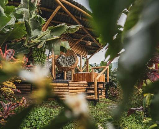 The Coffee Club Campestre