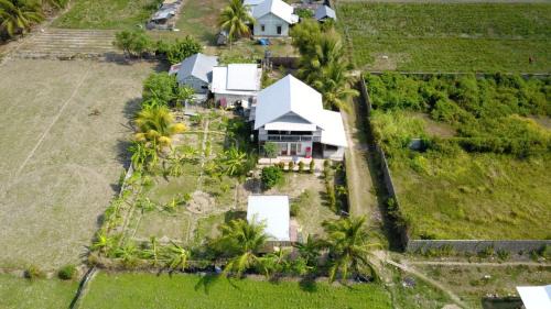 The Daun Puntik HomeStay