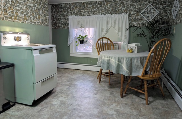 The Dexter Suite. Now with Plants! Vintage-styled 1-bedroom apt near downtown