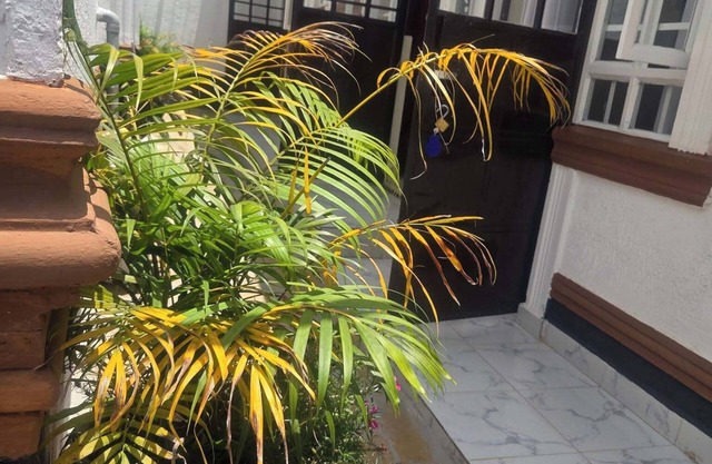 The Elegant Homes &Accommodation Kericho