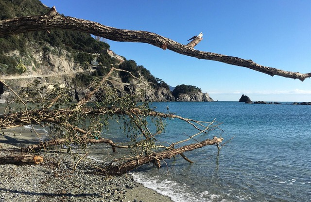THE FIVE SAILS*Cinque Terre Luxury House