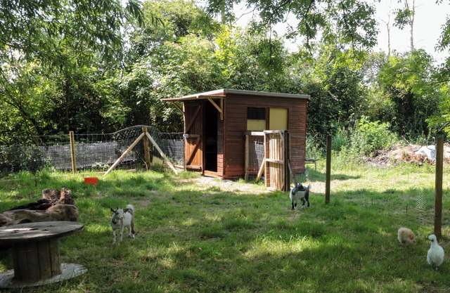 The Foxes Den Shepherds Hut