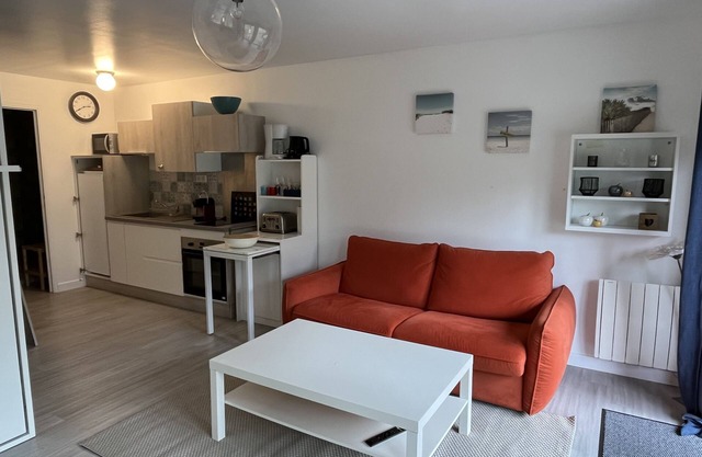 The Garrigue in the middle of the Pines