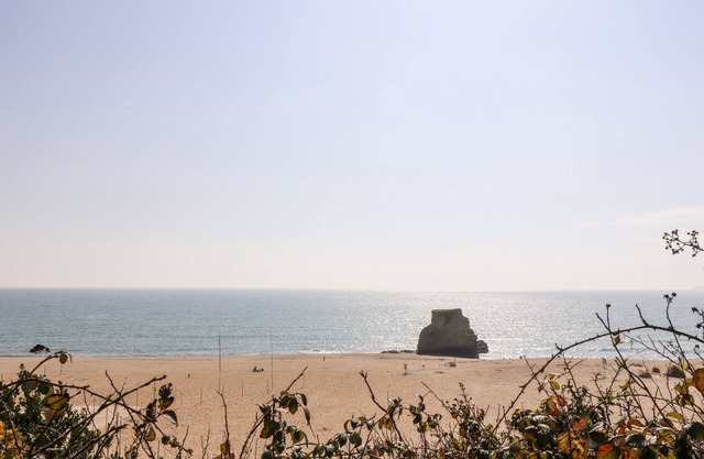 The Linney@the West Dry