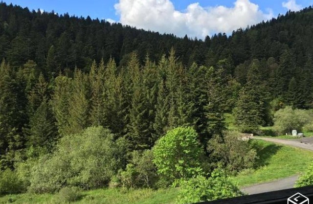 The Lioran, nice Studio with balcony, facing the slopes