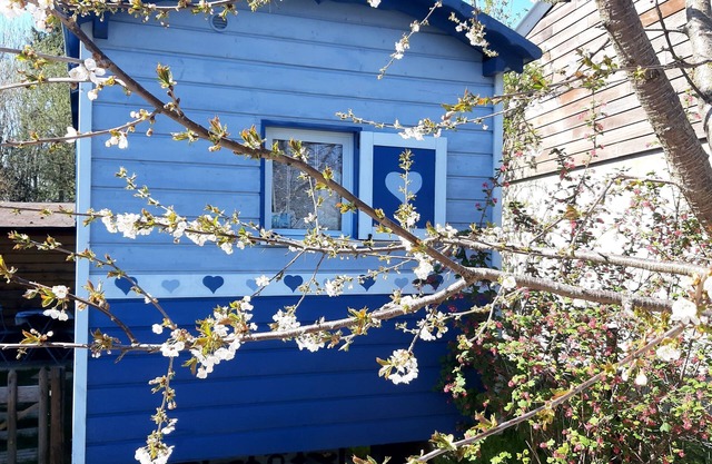 The Little Blue Caravan