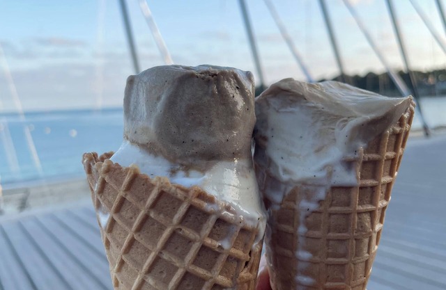 The little house in the forest