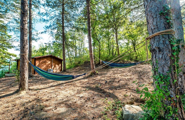 The Little House in the Woods