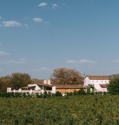The Luxe Pushkar - A Luxury Farmstay in Pushkar