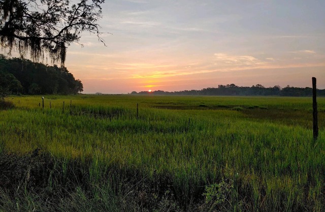 "The Mini Hideaway"-Short drive to Hunting Island State Park(PASS INCLUDED)