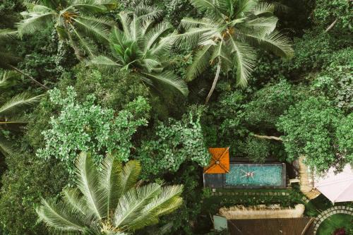 The Nest in Ubud, Bembengan Cottage