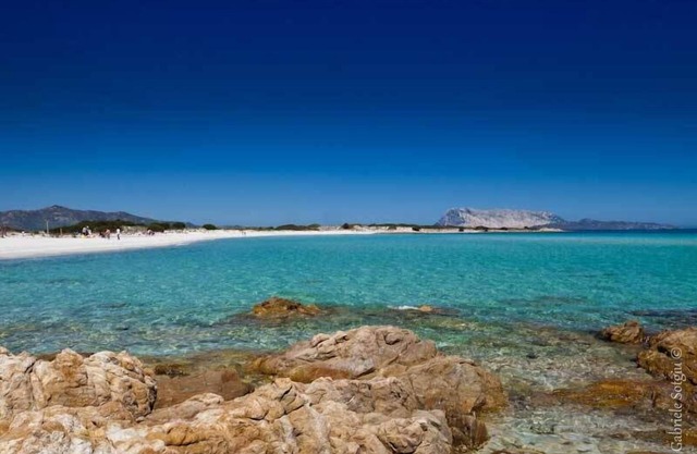 The Old Farm Asfodeli - Adults Only