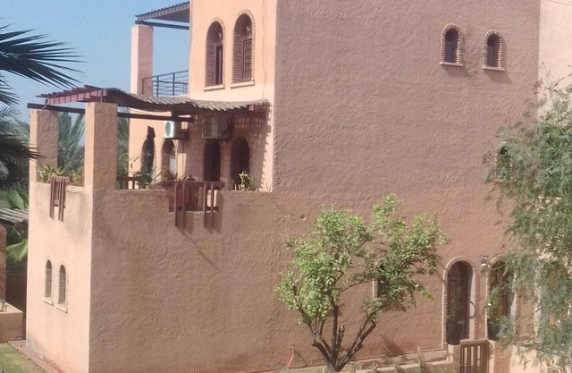 The palm ensoleilée