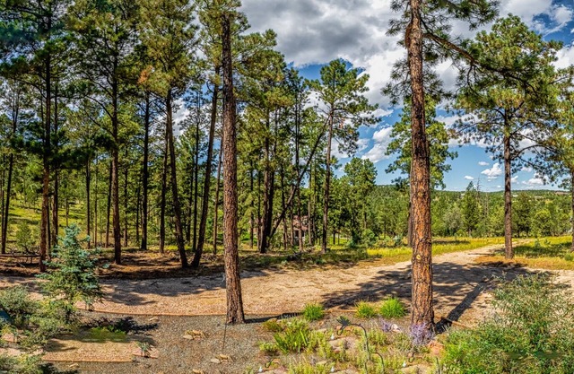 The Peaceful Nest: 3 Bedrooms, Beautiful Scenery, Quiet Surroundings, AND a Hot Tub!