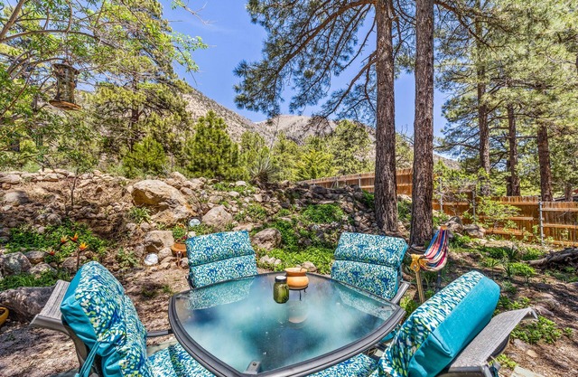 The Pine Tree Getaway w/Hot Tub, hammock and forest backyard!