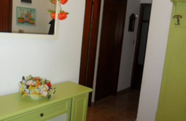 the pumpkin house violina city center Ferrara