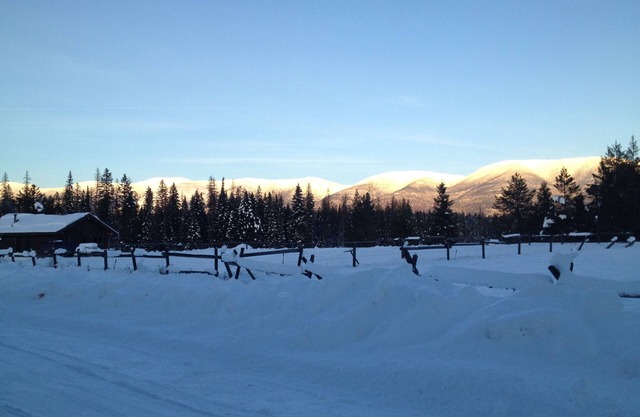 The Quiet Cabin-on A Meadow Surrounded By Forest Near Whitefish & Glacier Park