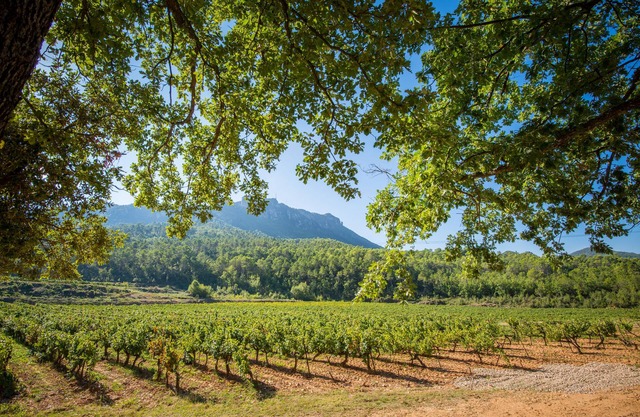 The Syrah and Chardonnay villas: 10 superb rooms in the heart of a vineyard.