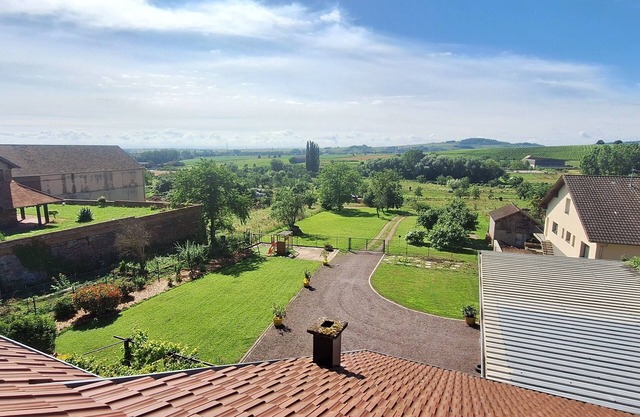 The vineyard horizon, wine route