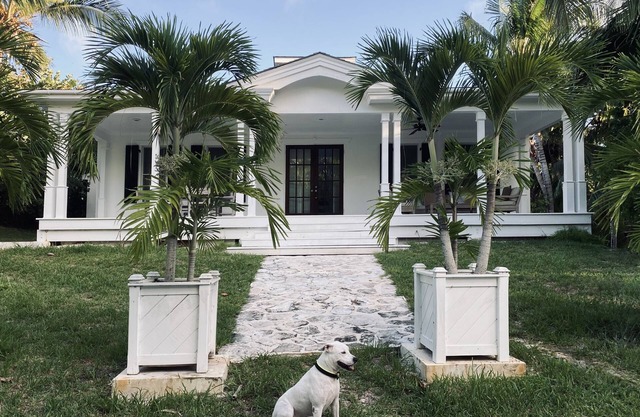 Theatrical retreat set just above Harbour Island's Pink Sand Beach, bold design meets island calm