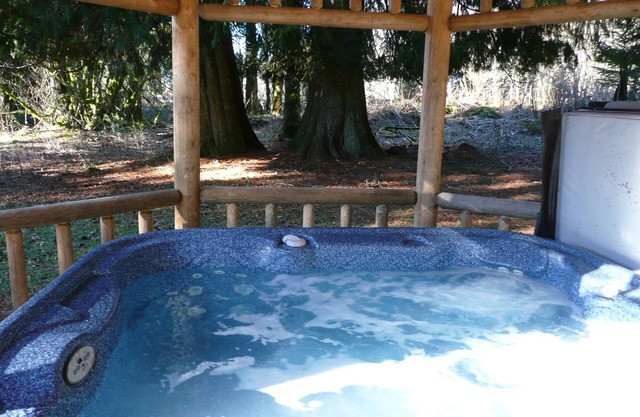 This historic cabin is just a few miles from Mt Rainier National Park. Pet friendly. Fish pond, pastures, old cedars, 11-acres. Private hot tub surrounded by grove of old cedars.