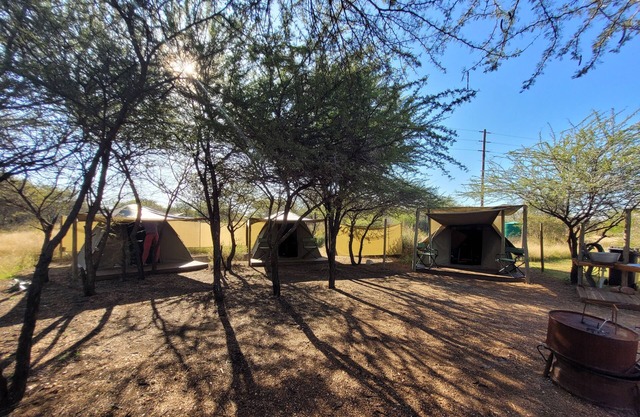 Thorn Tree Bush Camp